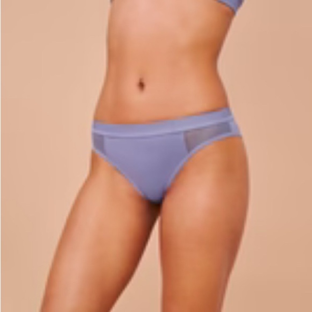 NWOT Pepper Mesh All You Bikini Underwear - XS